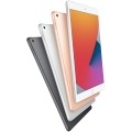 iPad 8