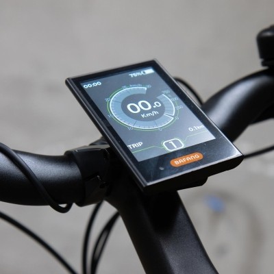 Van Dijck Kalii 3.0 Belt Sportive elsykkel